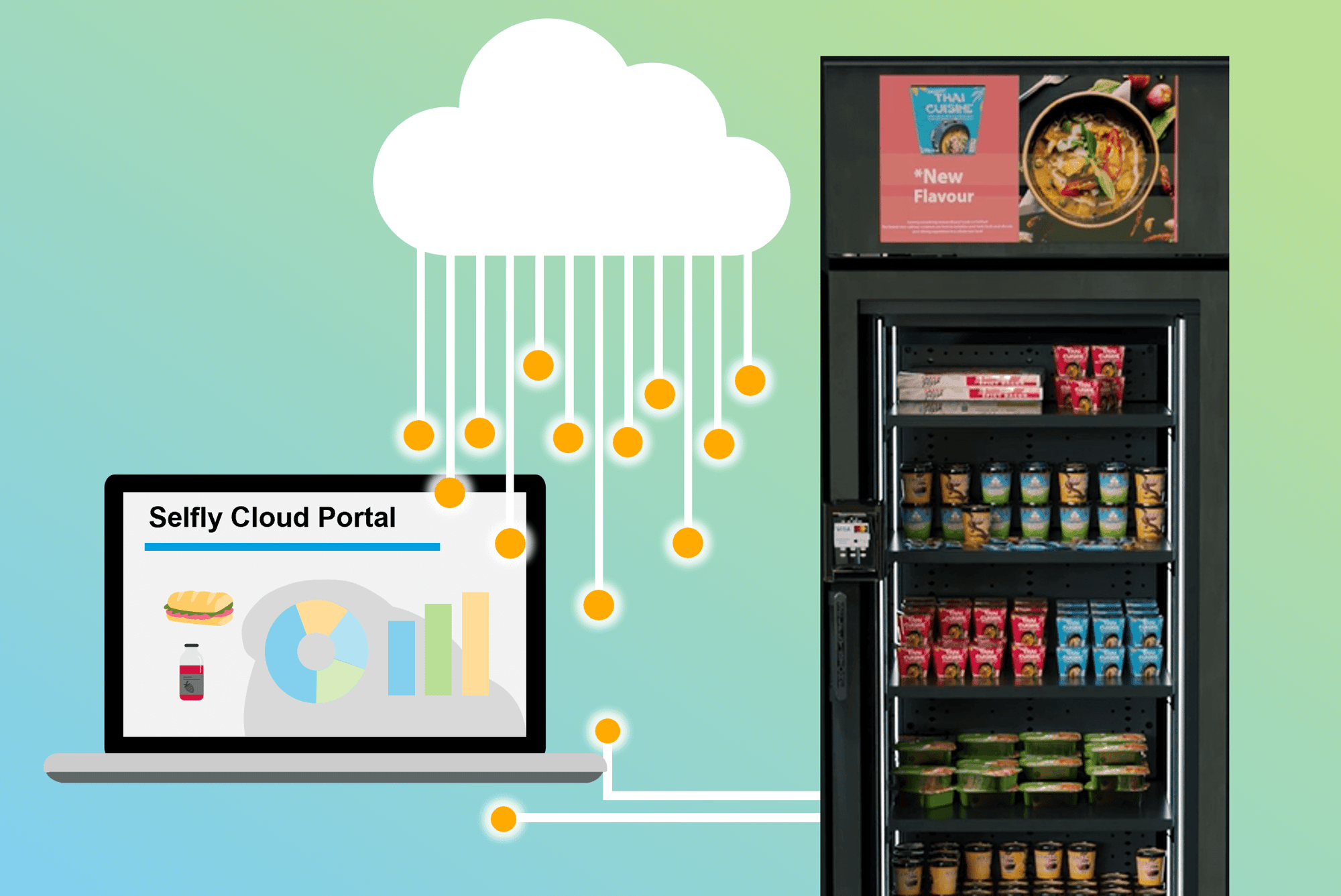 Selfly Cloud vending machine software updates 